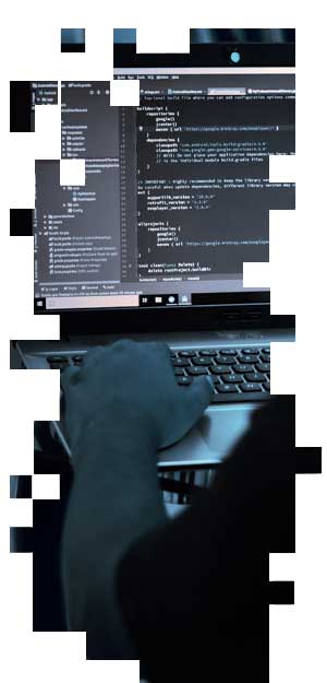 Web Application Development