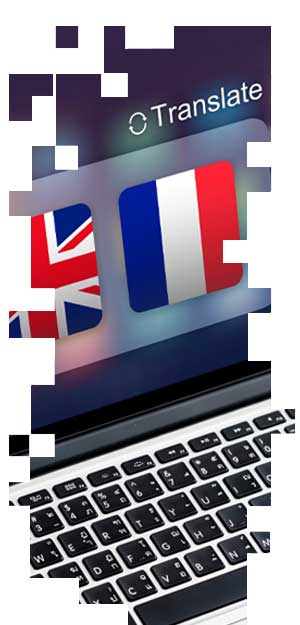 Language Service Solutions Page